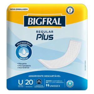 Absorvente Bigfral Regular Plus Tamanho Único Com 20 Unidades